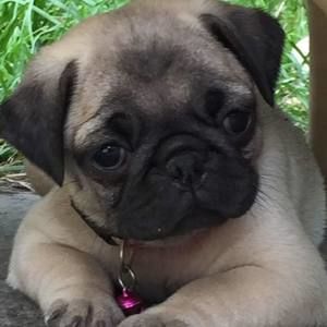 Meet your Posher, Nancy